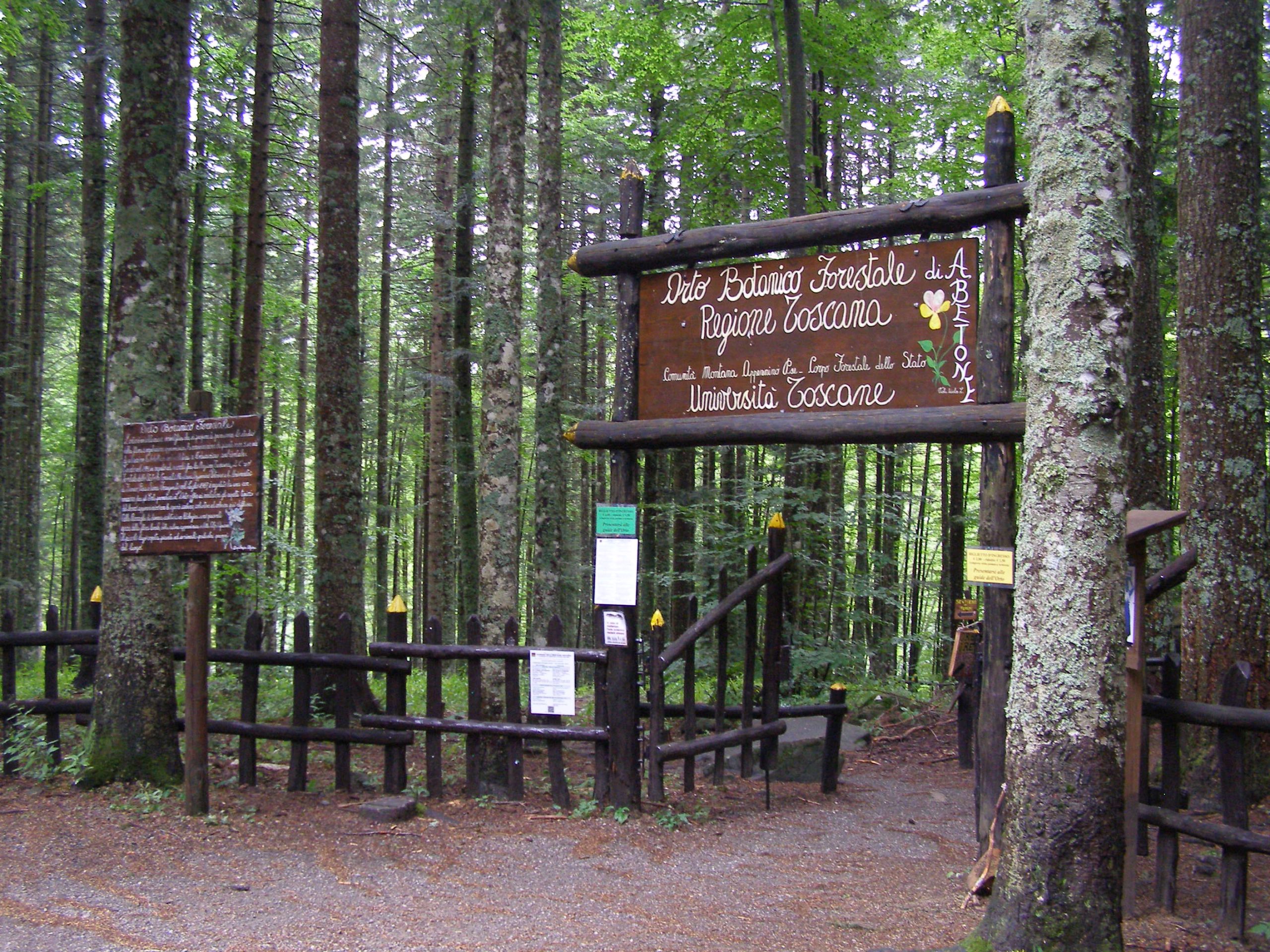 Abetone Botanical forest garden