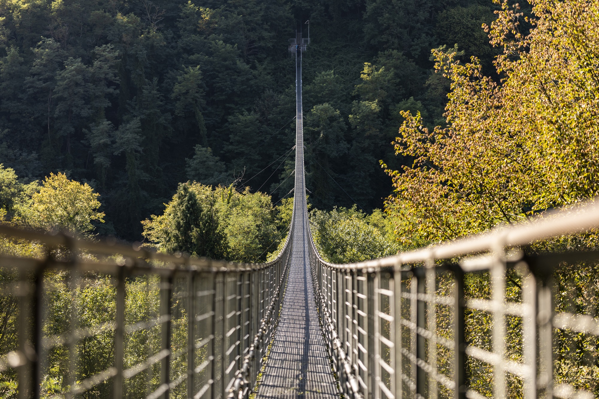 Ferriere Suspension Bridge