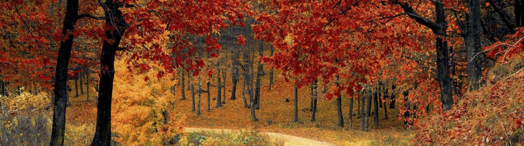 Autunno a Pistoia