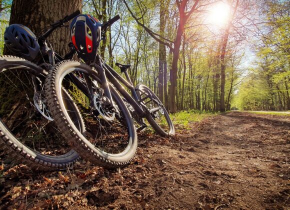 Mountain bike foresta Montagna Pistoiese