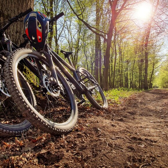 Mountain bike foresta Montagna Pistoiese