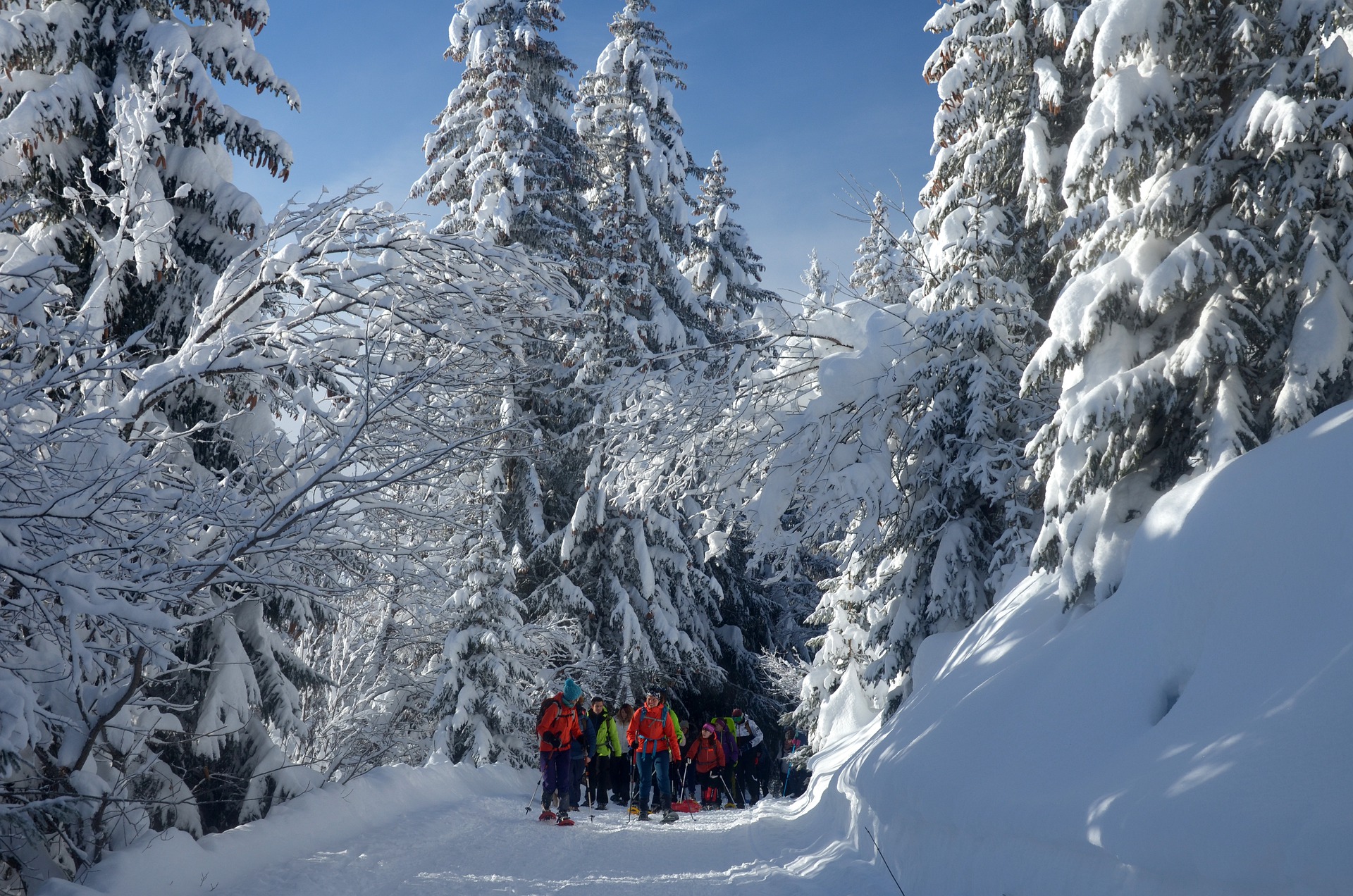 Ciaspolare sulla Montagna Pistoiese