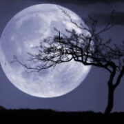 Le notti della luna