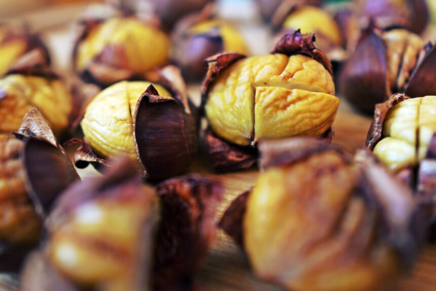 Castagne della Montagna Pistoiese