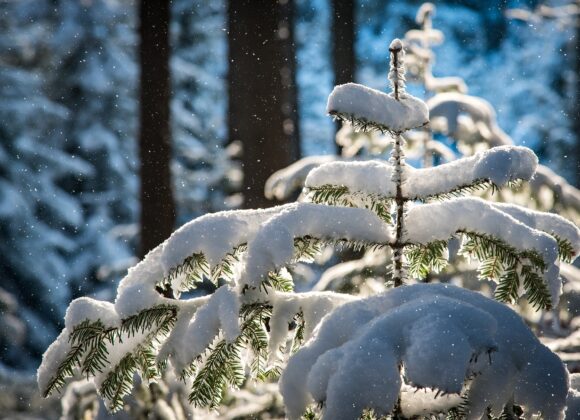 Natale sulla Montagna Pistoiese