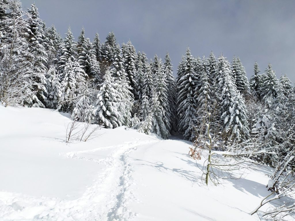 Passi di natura