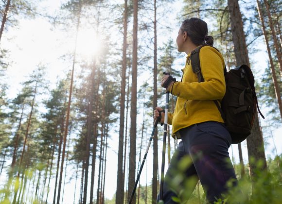 Trekking