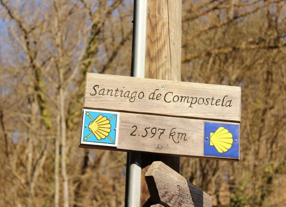 Cammino di Santiago