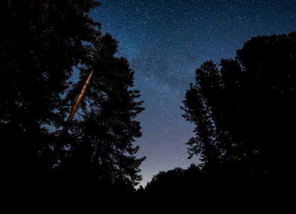 Star trekking alla ricerca delle stelle cadenti