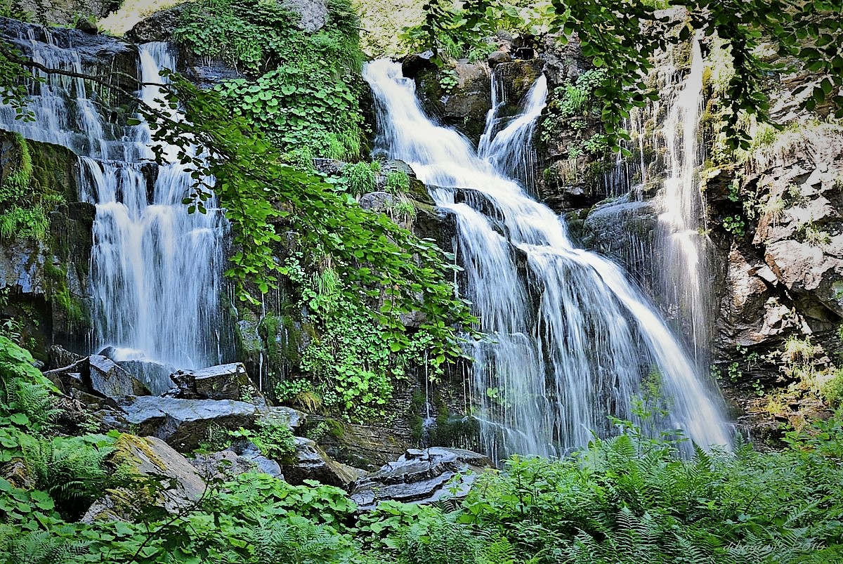 Cascate del Dardagna
