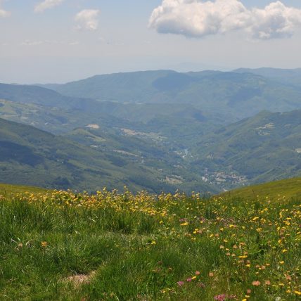 Travelling in the Pistoia Mountains file pdf