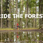 Ride the forest