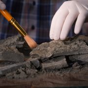 Un tè con l’arte: l’archeologia