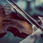 Concerto nel bosco | Orchestra da Camera Fiorentina