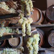 Cantine Aperte alla Società Agricola Marini Giuseppe