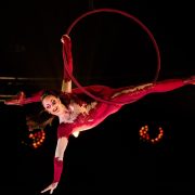 Alis – Le Cirque Top Performers