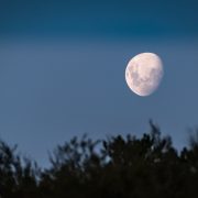 Andrea Mitresi presenta L’ultima luna 