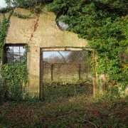 Italia dimenticata. Dal declino alla rinascita delle terre alte e remote