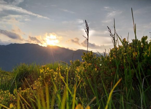 Immersione nella Foresta Biogenetica di Pian degli Ontani