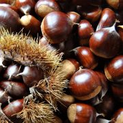 Rassegna della Castanicoltura a Cutigliano – RIMANDATA