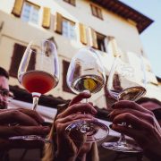 VininSala. Degustazione enologica 2025