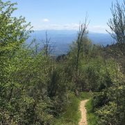 Camminando per sentieri – Leggere il paesaggio: l’anello lungo della Magia