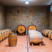 Vivi Convivio 2025 – Fattoria Betti