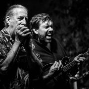 Treves blues band. 50 anni in blues