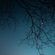Serate astronomiche nella Foresta dell’Acquerino