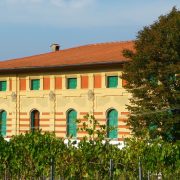 Passeggiando tra i vigneti