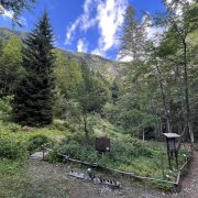 Convegno di apertura dell’Orto Botanico Forestale di Abetone