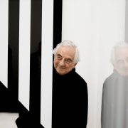 Daniel Buren Exhibition