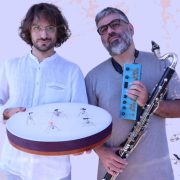Insecta. Musica con il Togi Noise Generator