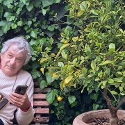 Nicola Licciardello. Siamo le mani che sanno
