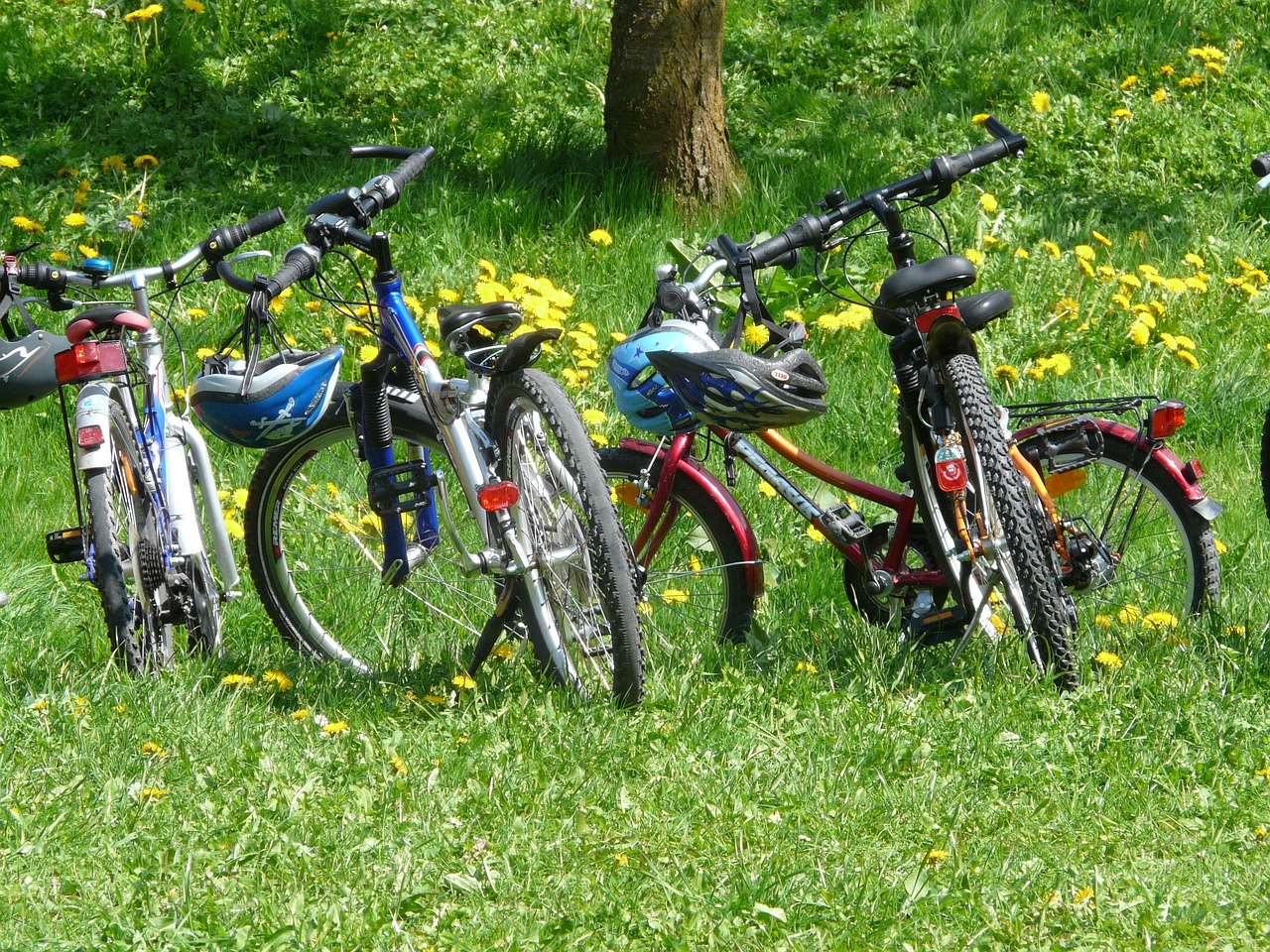 Biciclette