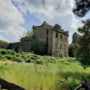 Camminando per sentieri – Camminare senza (un) senso