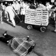 Macelleria Palermo Macelleria Palermo