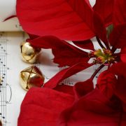 Concerti di Natale a Villa Magni