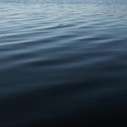 Progetti e fotografia: il duo Clemente-Pardini Progetti e fotografia: il duo Clemente-Pardini