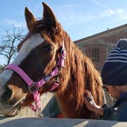 Festa di Carnevale in fattoria