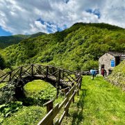 Festività tra arte e cultura