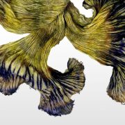 Essentia Naturae. Sculture tessili organiche Essentia Naturae. Sculture tessili organiche