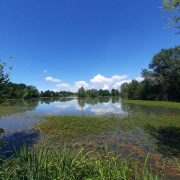 Passeggiata del Patrimonio – Lungo gli argini fluviali