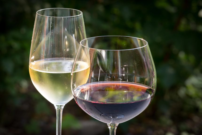 Festa del vino