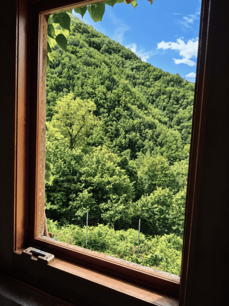 Casa nel bosco - Sambuca Pistoiese